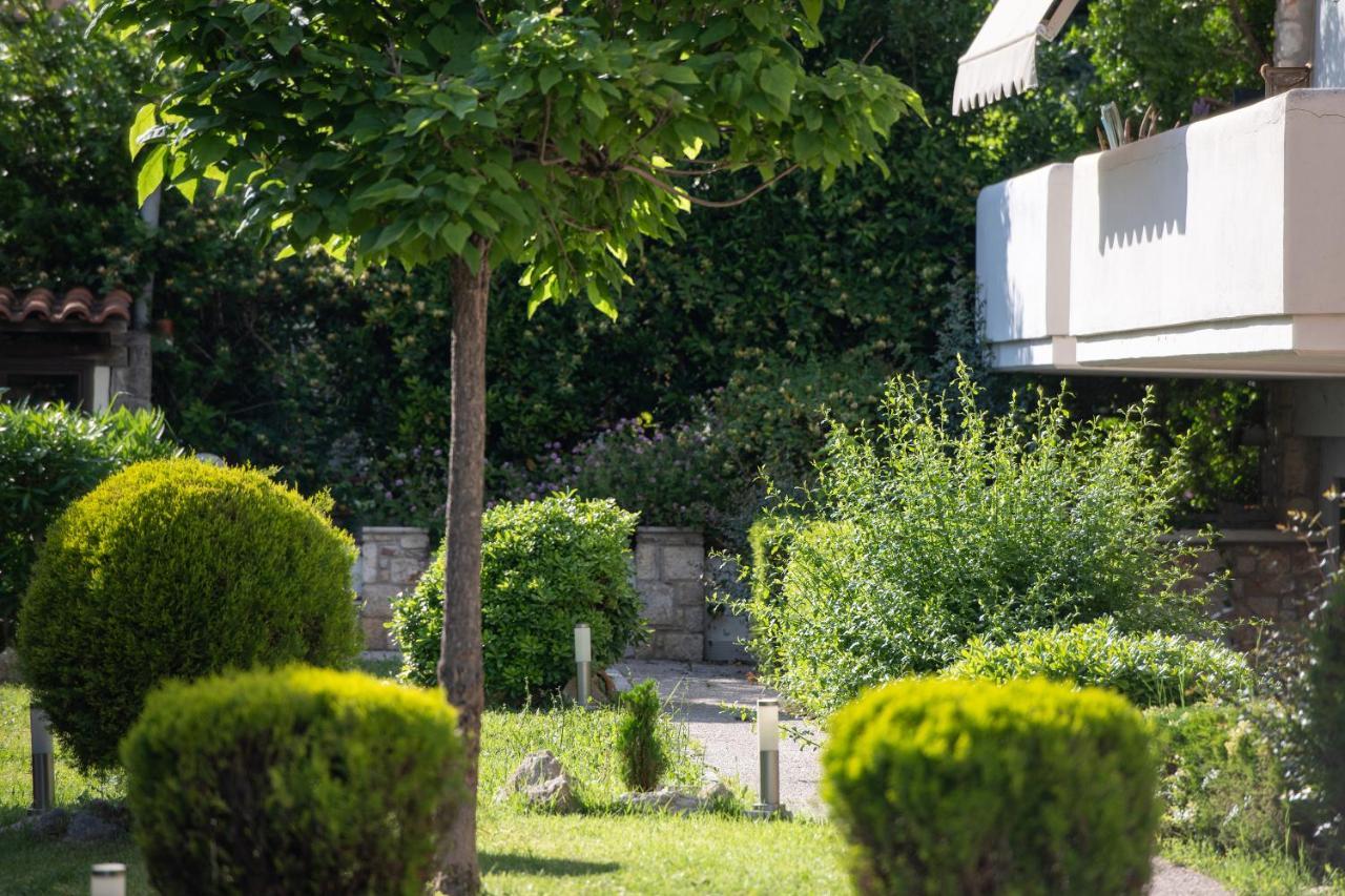 Antique Apartment Άφυτος Εξωτερικό φωτογραφία