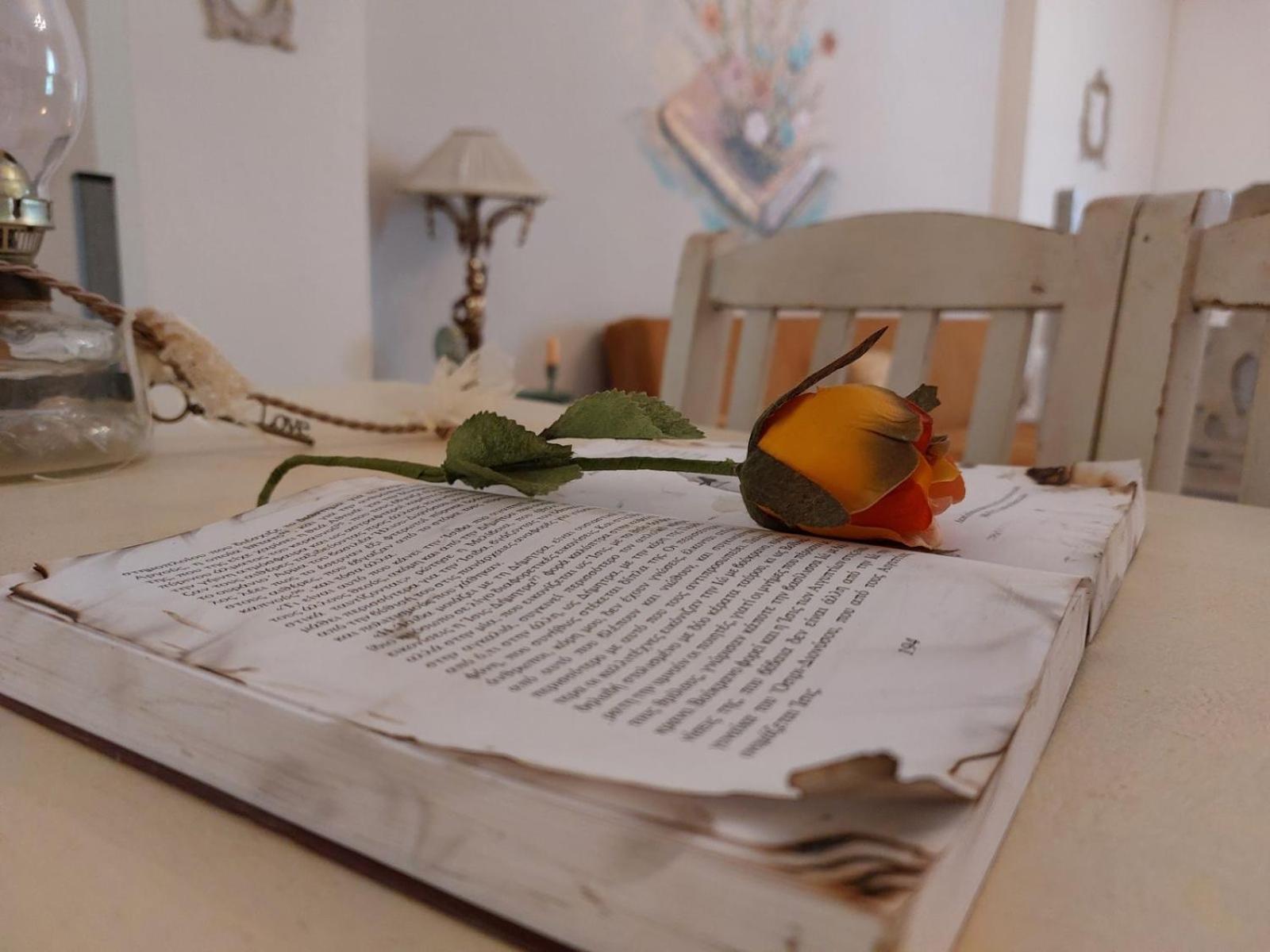 Antique Apartment Άφυτος Εξωτερικό φωτογραφία